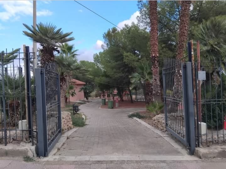 Il viale d'ingresso del parco tra le palme