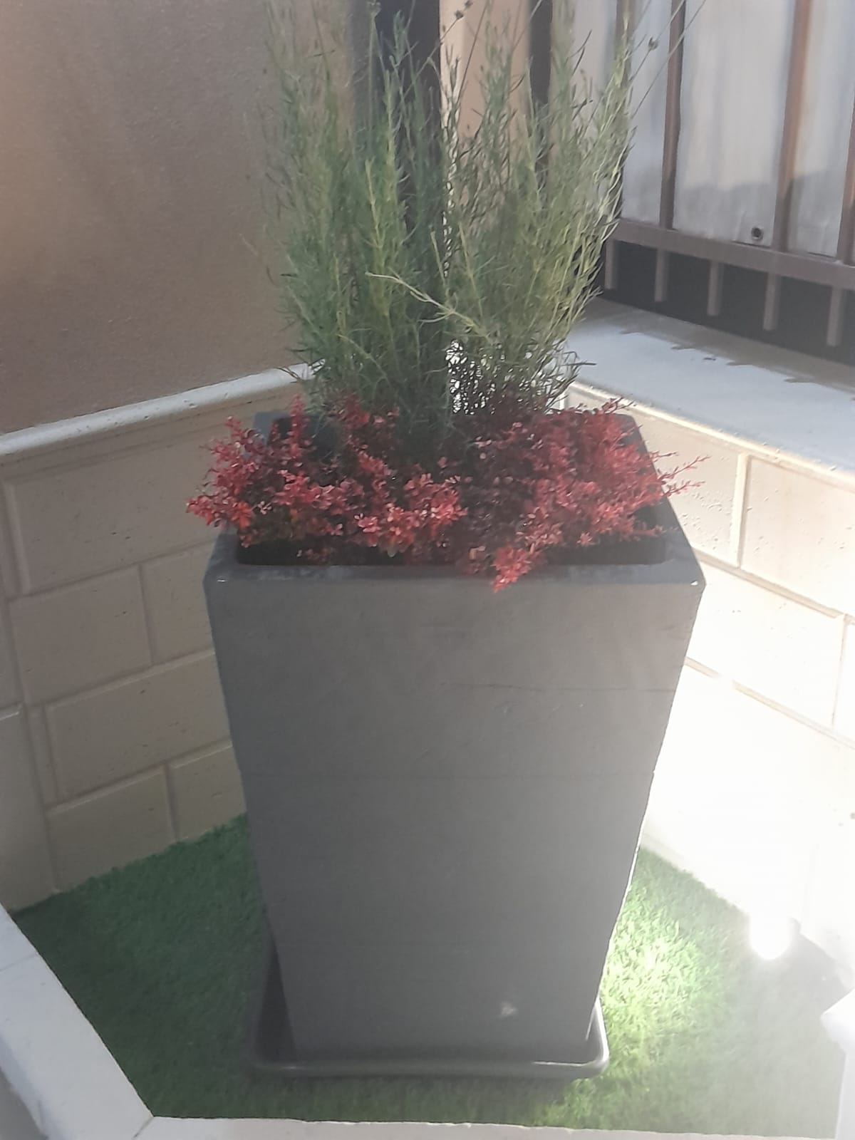 Fioriera di design con piante ornamentali nel giardino
