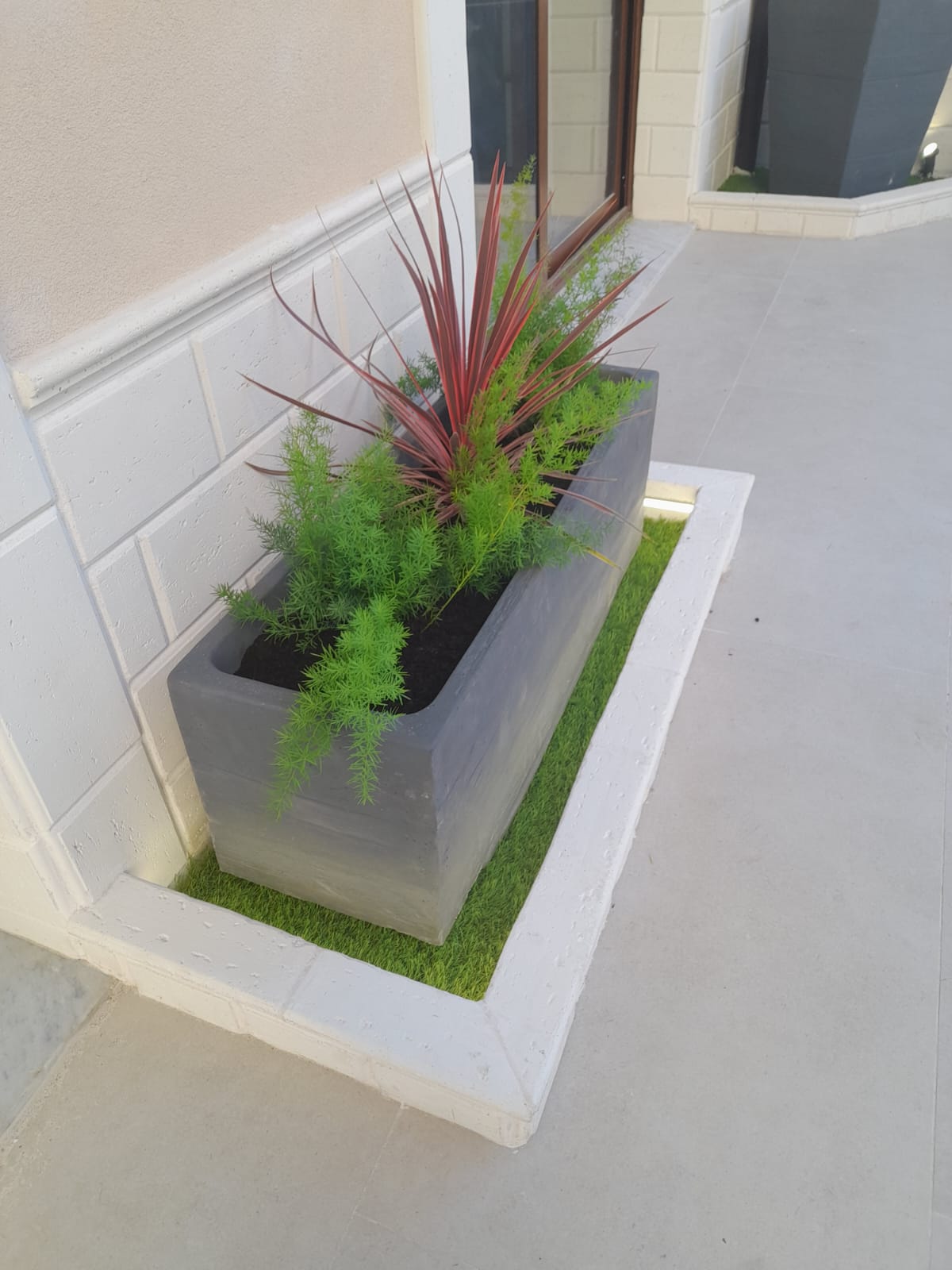 Aiuole e piante ornamentali del giardino