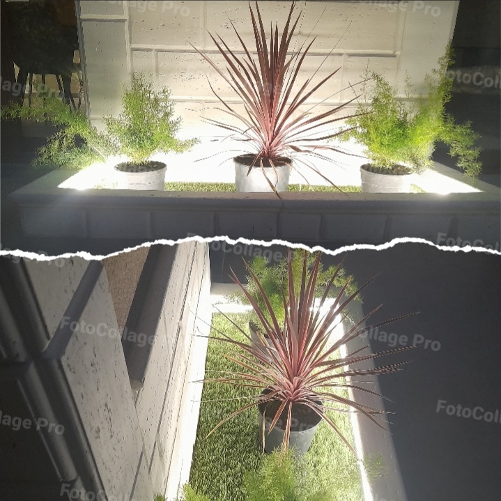 Il giardino privato di sera, ideale per cene all'aperto