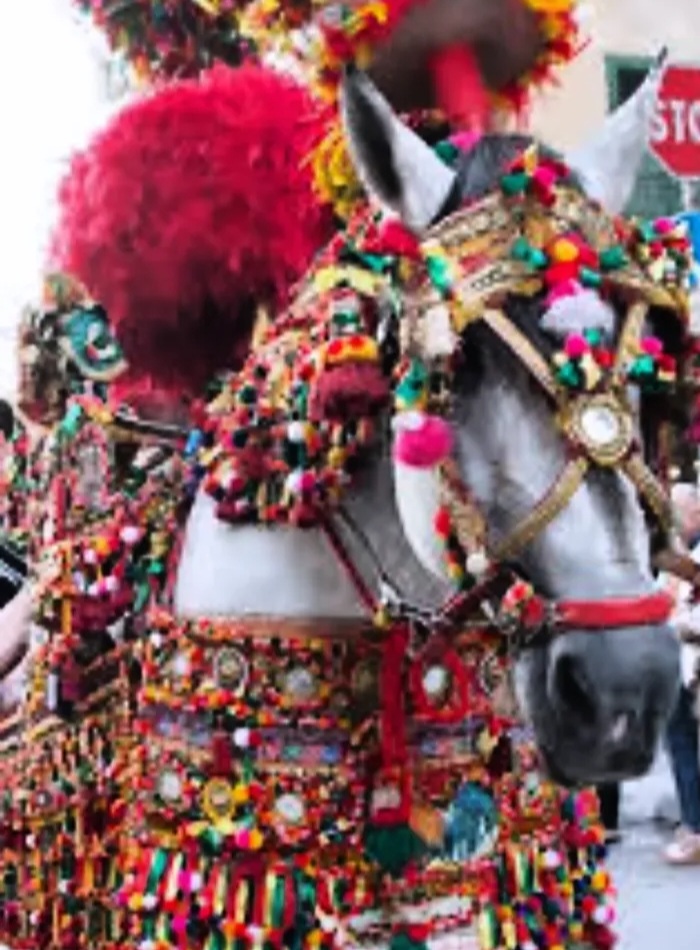 Cavallo riccamente bardato con pennacchi e pon-pon colorati